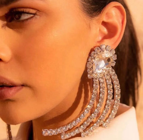 The “Diamonds are a Girl's Bestfriend” Earrings