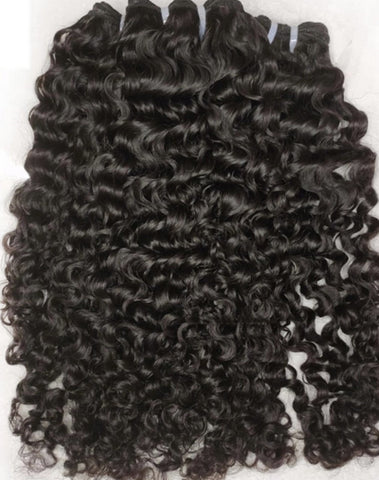 Burmese Lavish Curly