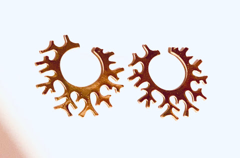 The “From the Roots” Earrings