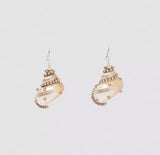Conch Earrings